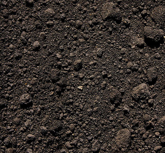 Premium Topsoil